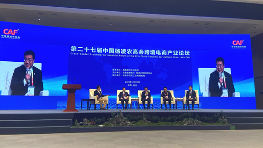 1603442363083067827.png 官网1.png